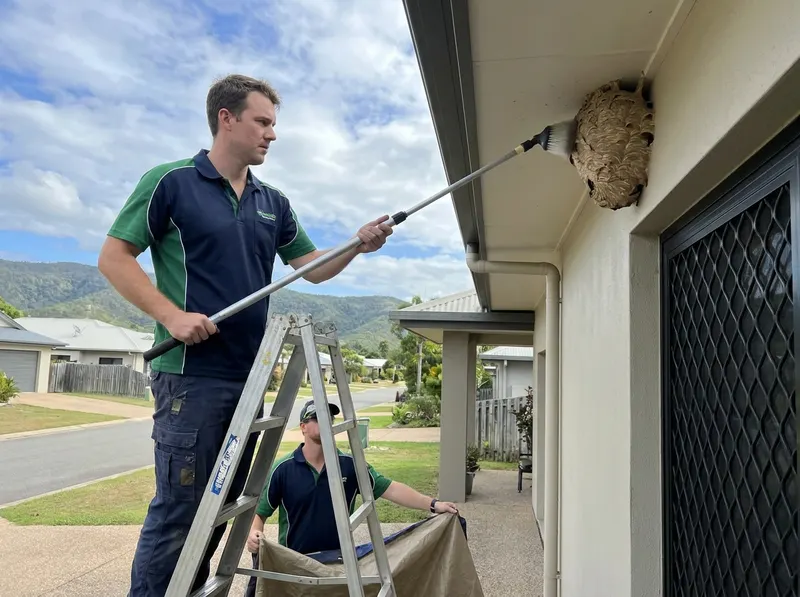 Wasp & Hornet Nest Removal in Longmont, CO